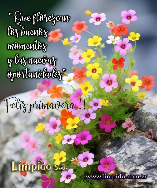 Muy feliz Primavera .Es un deseo de Limpido S.A.